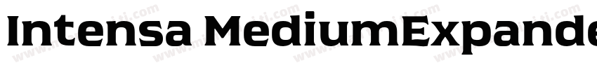 Intensa MediumExpanded字体转换